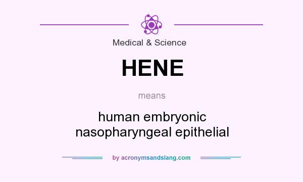 What does HENE mean? It stands for human embryonic nasopharyngeal epithelial