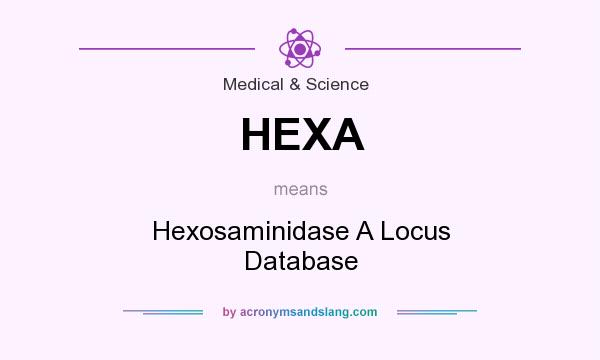 What does HEXA mean? It stands for Hexosaminidase A Locus Database