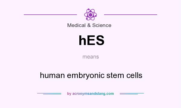 What does hES mean? It stands for human embryonic stem cells