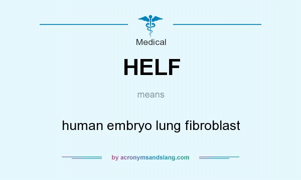 What does HELF mean? It stands for human embryo lung fibroblast