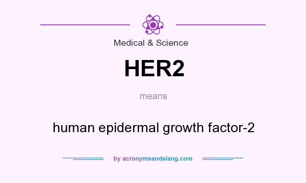 What does HER2 mean? It stands for human epidermal growth factor-2