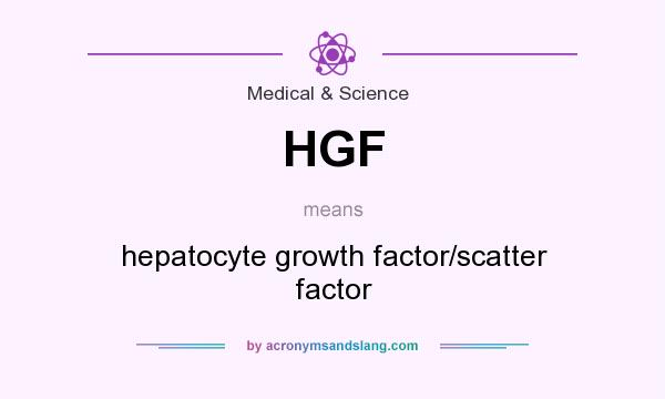 What does HGF mean? It stands for hepatocyte growth factor/scatter factor