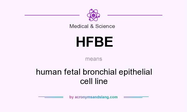 What does HFBE mean? It stands for human fetal bronchial epithelial cell line
