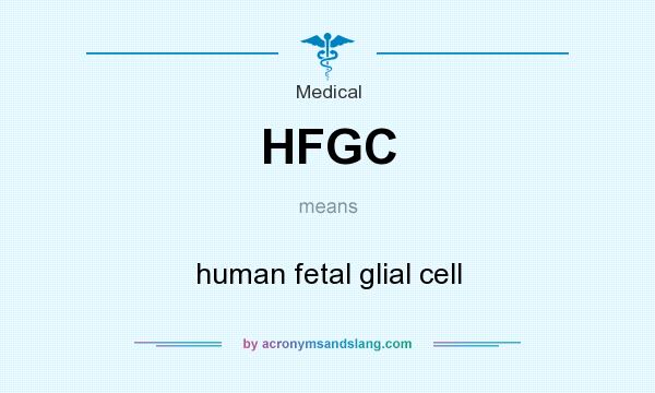 What does HFGC mean? It stands for human fetal glial cell