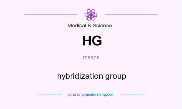 What does HG mean? It stands for hybridization group