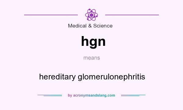 What does hgn mean? It stands for hereditary glomerulonephritis