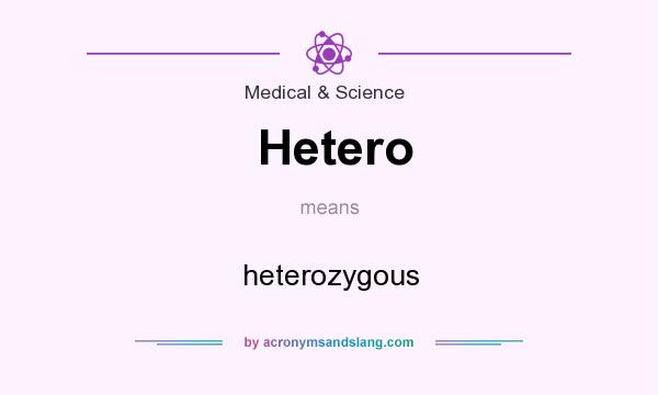 What does Hetero mean? It stands for heterozygous