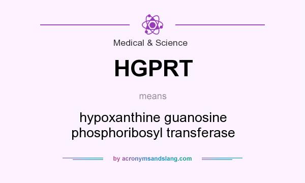 What does HGPRT mean? It stands for hypoxanthine guanosine phosphoribosyl transferase