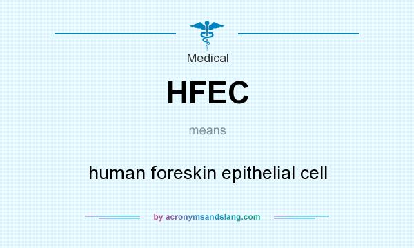 What does HFEC mean? It stands for human foreskin epithelial cell