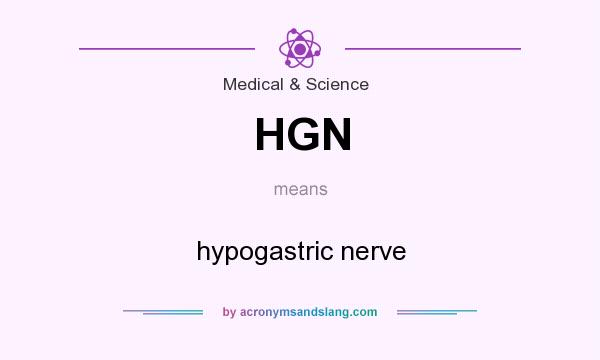What does HGN mean? It stands for hypogastric nerve