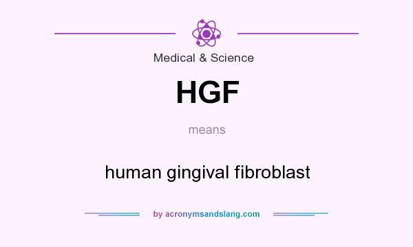 What does HGF mean? It stands for human gingival fibroblast