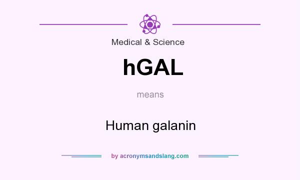 What does hGAL mean? It stands for Human galanin