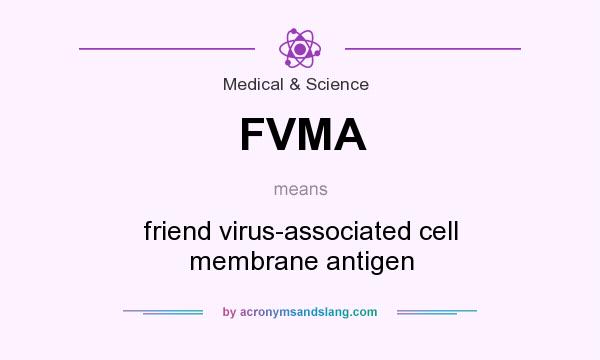 What does FVMA mean? It stands for friend virus-associated cell membrane antigen