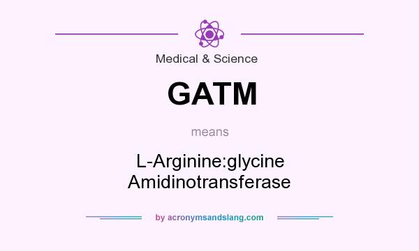 What does GATM mean? It stands for L-Arginine:glycine Amidinotransferase