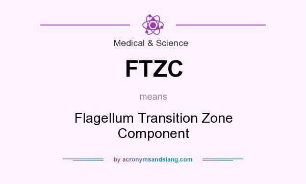 What does FTZC mean? It stands for Flagellum Transition Zone Component