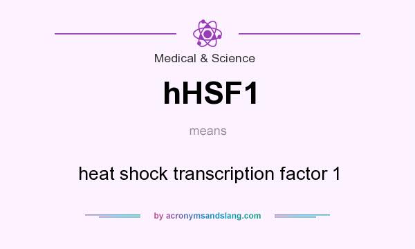 What does hHSF1 mean? It stands for heat shock transcription factor 1