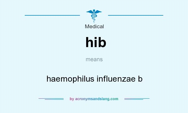 What does hib mean? It stands for haemophilus influenzae b