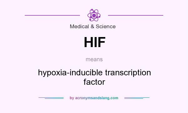 What does HIF mean? It stands for hypoxia-inducible transcription factor