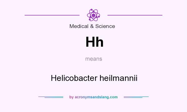 What does Hh mean? It stands for Helicobacter heilmannii