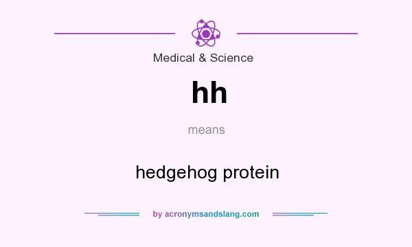 What does hh mean? It stands for hedgehog protein