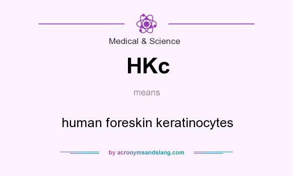 What does HKc mean? It stands for human foreskin keratinocytes