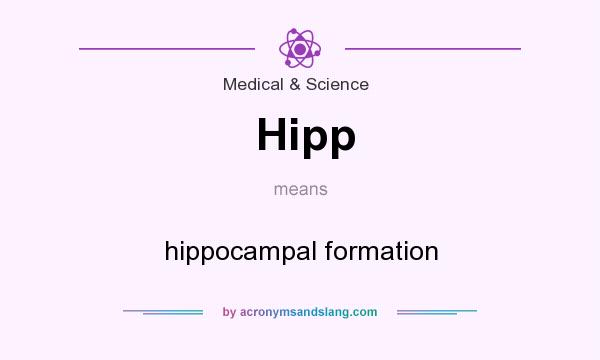 What does Hipp mean? It stands for hippocampal formation
