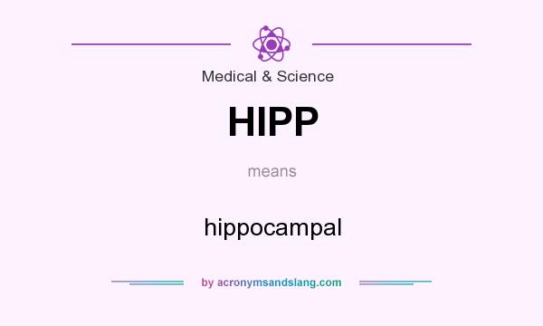 What does HIPP mean? It stands for hippocampal