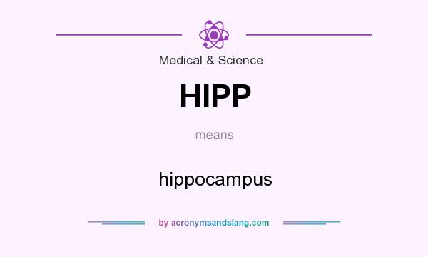 What does HIPP mean? It stands for hippocampus