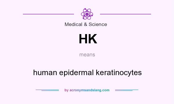 What does HK mean? It stands for human epidermal keratinocytes
