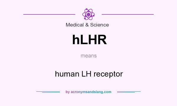 What does hLHR mean? It stands for human LH receptor