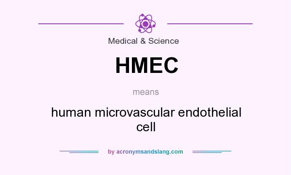 What does HMEC mean? It stands for human microvascular endothelial cell