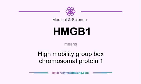 What does HMGB1 mean? It stands for High mobility group box chromosomal protein 1