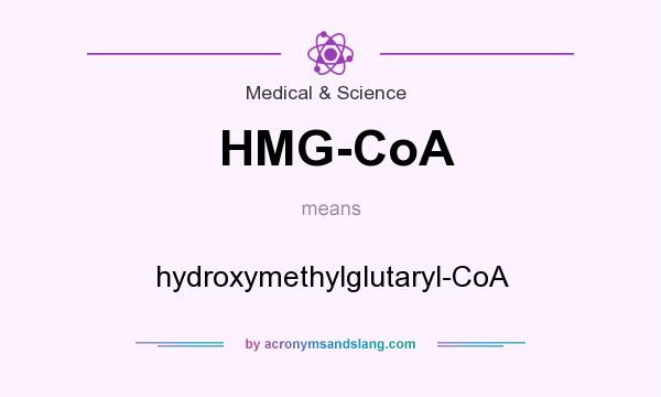 What does HMG-CoA mean? It stands for hydroxymethylglutaryl-CoA