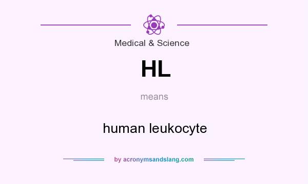 What does HL mean? It stands for human leukocyte