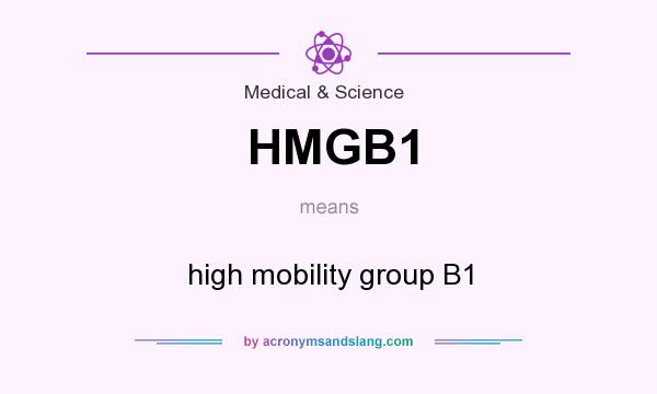 What does HMGB1 mean? It stands for high mobility group B1