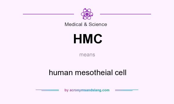 What does HMC mean? It stands for human mesotheial cell