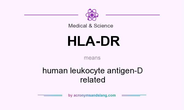 What does HLA-DR mean? It stands for human leukocyte antigen-D related