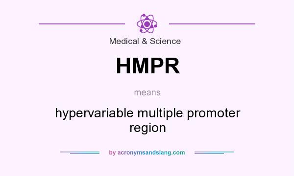 What does HMPR mean? It stands for hypervariable multiple promoter region
