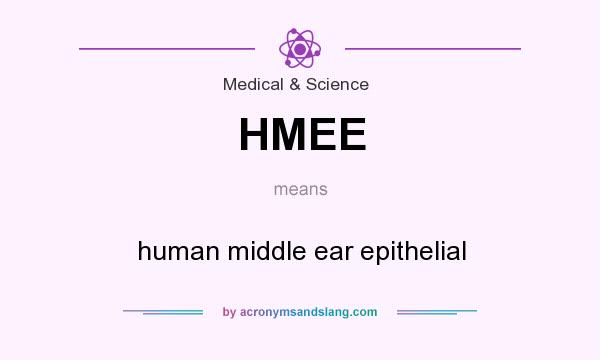 What does HMEE mean? It stands for human middle ear epithelial