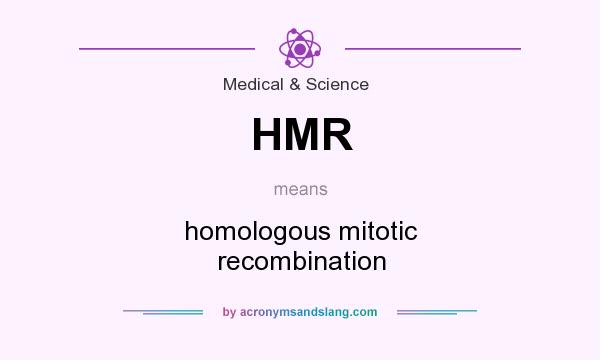 What does HMR mean? It stands for homologous mitotic recombination