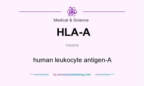 What does HLA-A mean? It stands for human leukocyte antigen-A
