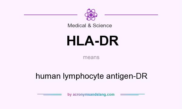 What does HLA-DR mean? It stands for human lymphocyte antigen-DR