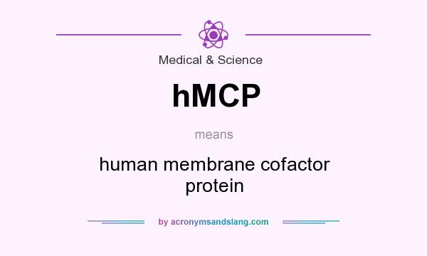 What does hMCP mean? It stands for human membrane cofactor protein