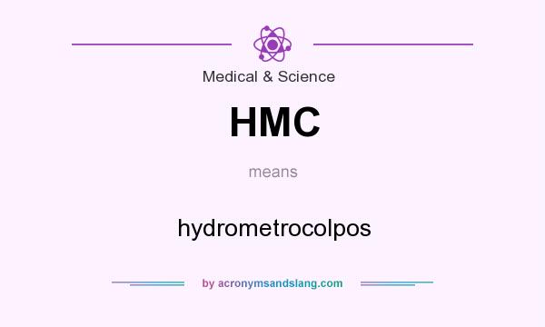 What does HMC mean? It stands for hydrometrocolpos