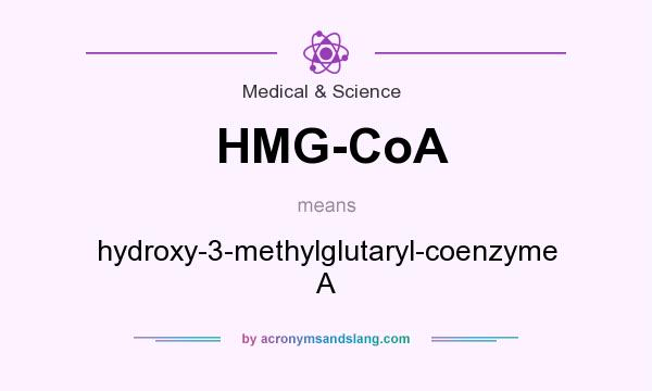 What does HMG-CoA mean? It stands for hydroxy-3-methylglutaryl-coenzyme A