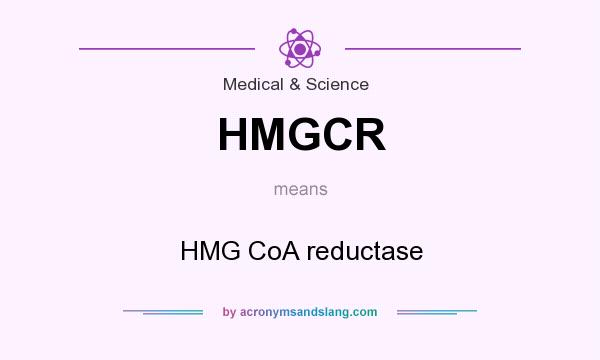 What does HMGCR mean? It stands for HMG CoA reductase