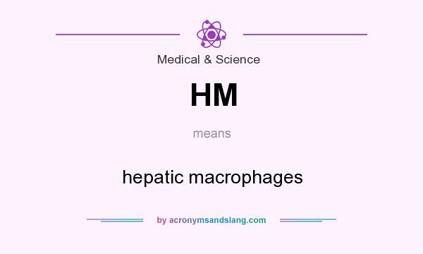 What does HM mean? It stands for hepatic macrophages