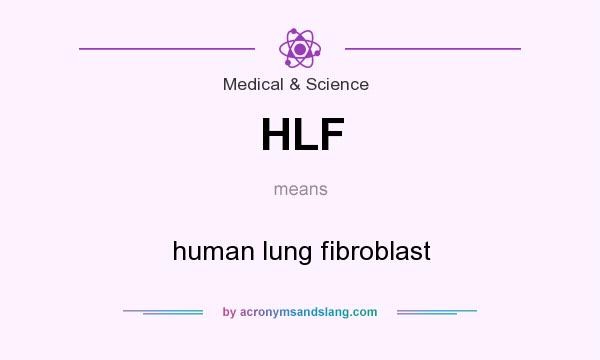What does HLF mean? It stands for human lung fibroblast