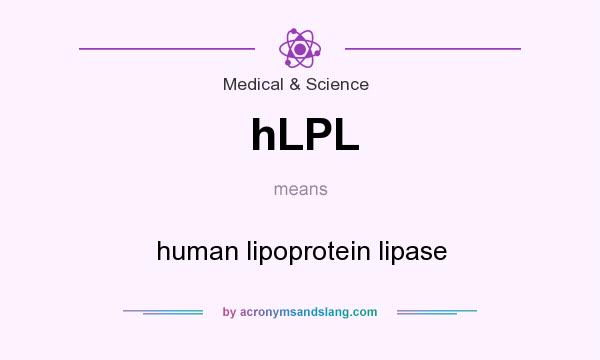 What does hLPL mean? It stands for human lipoprotein lipase