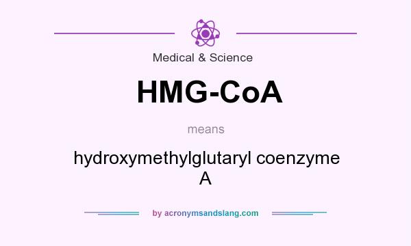 What does HMG-CoA mean? It stands for hydroxymethylglutaryl coenzyme A